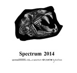 Spectrum 2014 by Saint Mary's College of California
