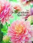 The Undergraduate Spectrum 2023 by Saint Mary's College of California